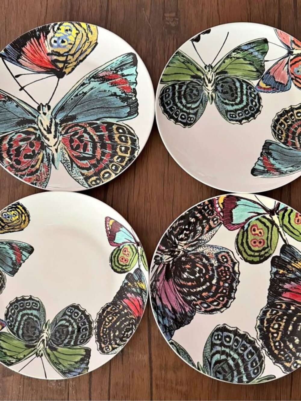 NWOT Set of 4 World Market Butterfly Dessert Salad Plates